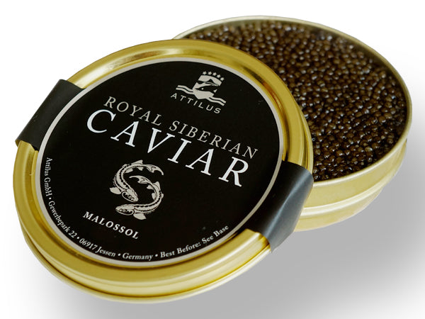 Caviar francais - Acipenser Baeril
